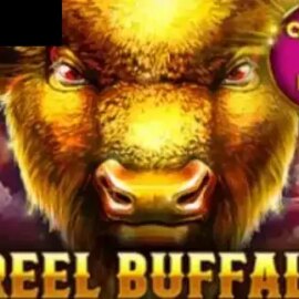 1 Reel Buffalo