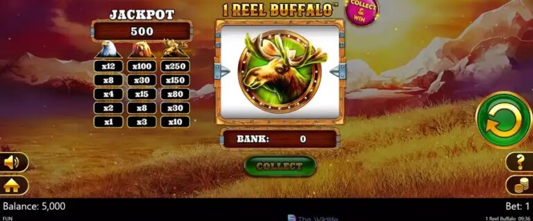 1 Reel Buffalo