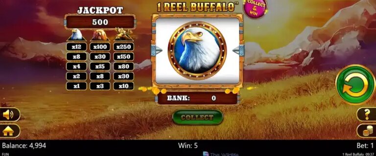 1 Reel Buffalo