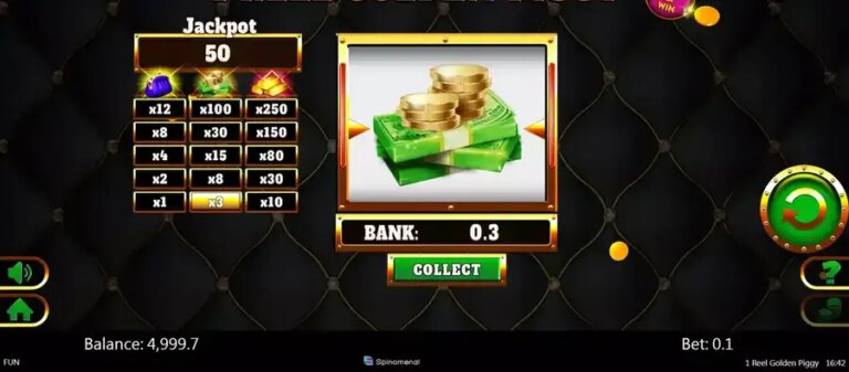 1 Reel Golden Piggy