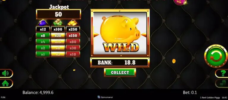 1 Reel Golden Piggy