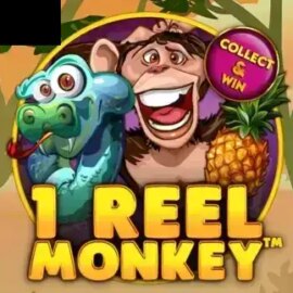 1 Reel Monkey