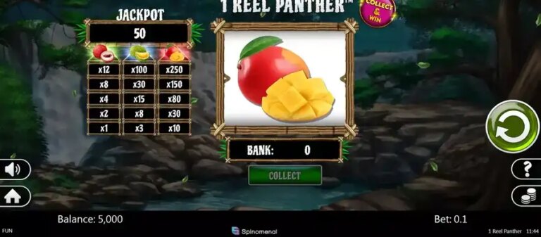 1 Reel Panther