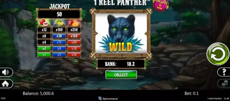 1 Reel Panther