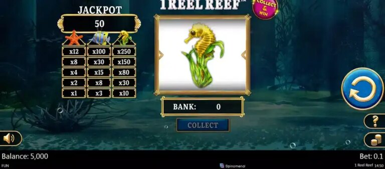1 Reel Reef