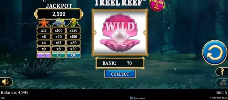 1 Reel Reef