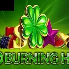 100 Burning Hot