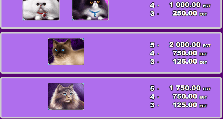 100 Cats
