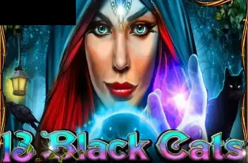 13 Black Cats