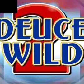 2 Deuce Wild Poker