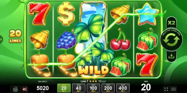 20 Bulky Fruits