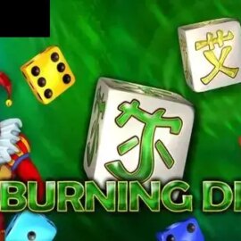 20 Burning Dice