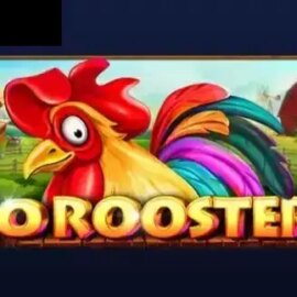 20 Roosters