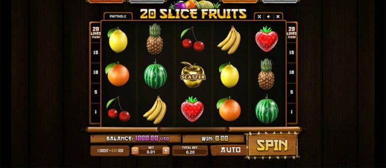 20 Slice Fruits
