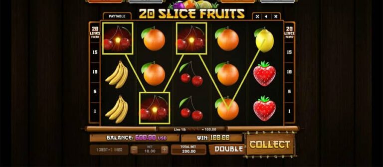 20 Slice Fruits