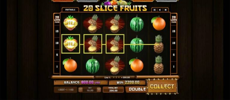 20 Slice Fruits