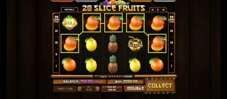20 Slice Fruits