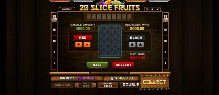 20 Slice Fruits