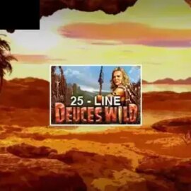 25-Line Deuces Wild