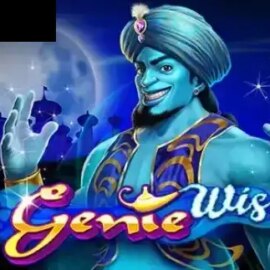 3 Genie Wishes