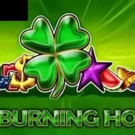 40 Burning Hot 6 Reels