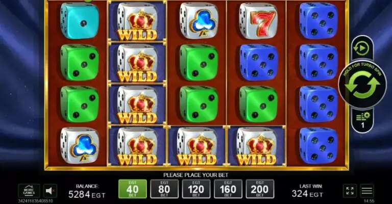 40 Luxury Dice