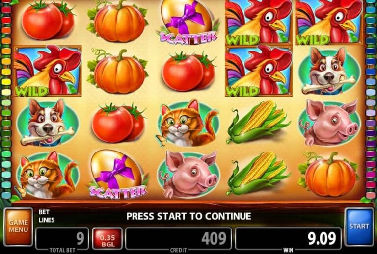 40 Roosters