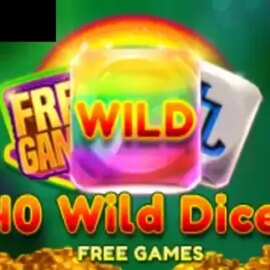 40 Wild Dice