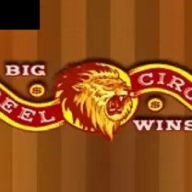 5 Reel Circus