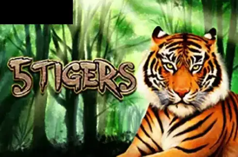 5 Tigers