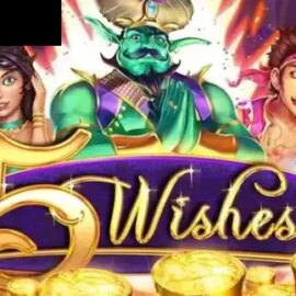 5 Wishes
