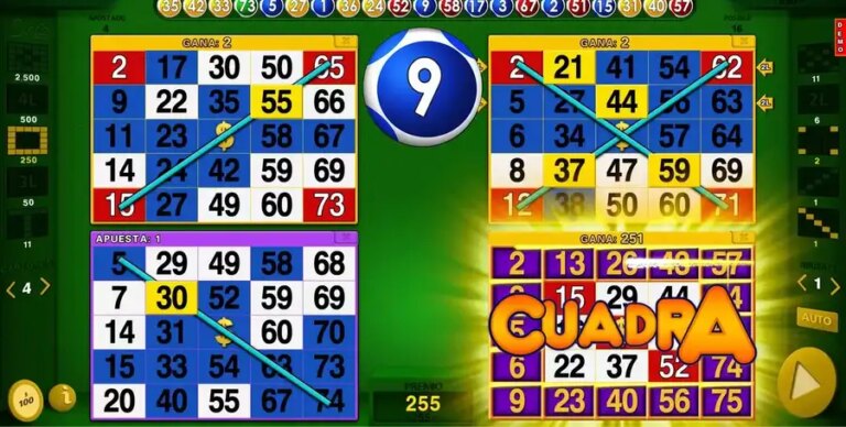 6 Bingo