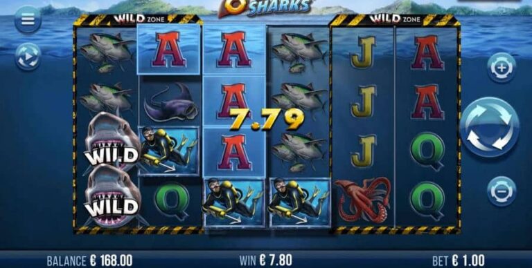 6 Wild Sharks