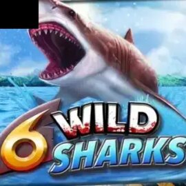6 Wild Sharks
