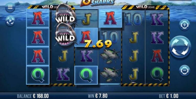 6 Wild Sharks