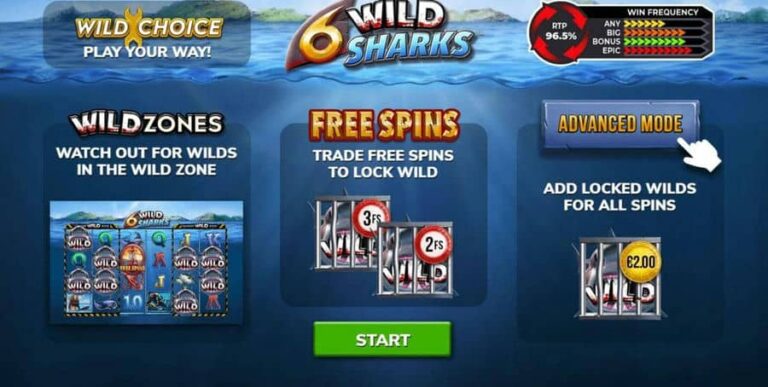 6 Wild Sharks