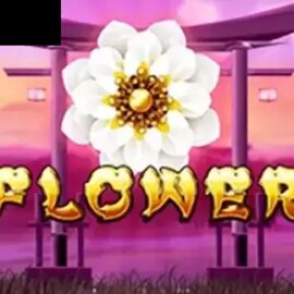 8 Flowers
