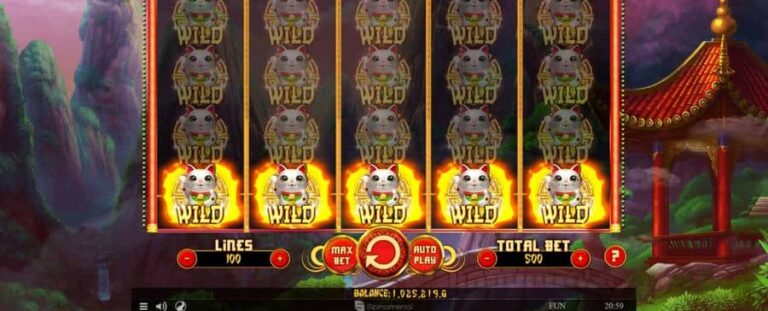 88 Fortune Cats