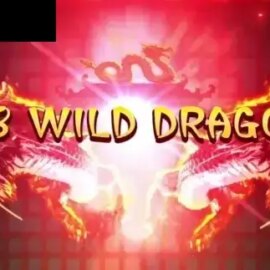 88 Wild Dragon