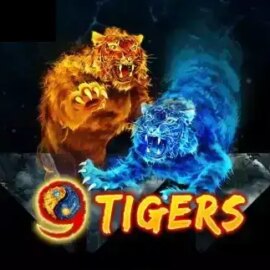 9 Tigers