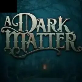 A Dark Matter