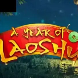 A Year Of Laoshu