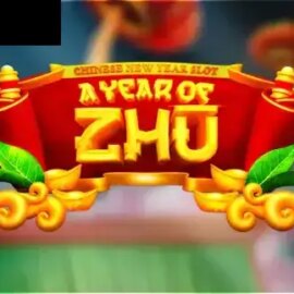A Year Of Zhu