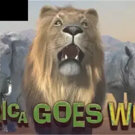Africa Goes Wild