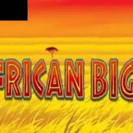 African Big 5