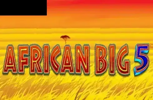African Big 5