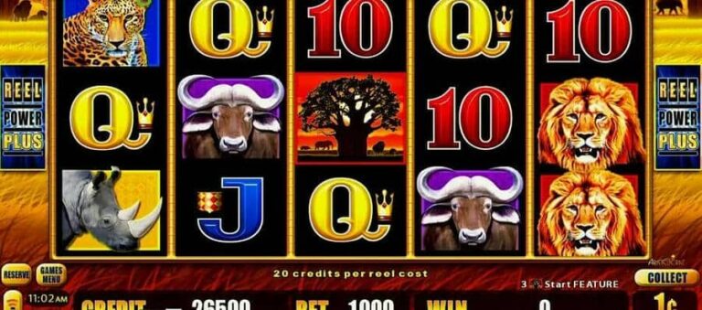 African Big 5