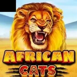 African Cats