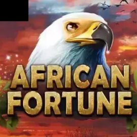 African Fortune
