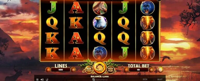 African Fortune